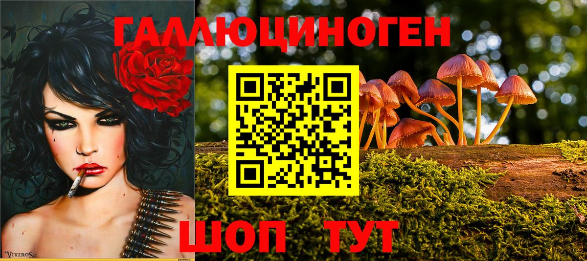 Железногорск  Псилоцибиновые грибы GOLDEN TEACHER  Вход с VPN  Галлюциногенные грибы мухоморы 