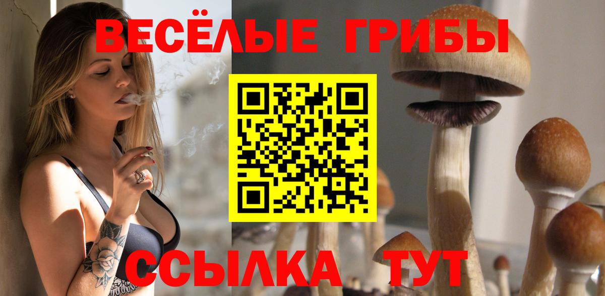 Псилоцибиновые грибы Cubensis Железногорск